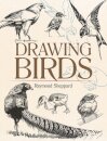 Drawing Birds
