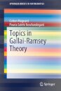 Topics in Gallai-Ramsey Theory
