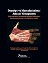 Photographic and Descriptive Musculoskeletal Atlas of Orangutans