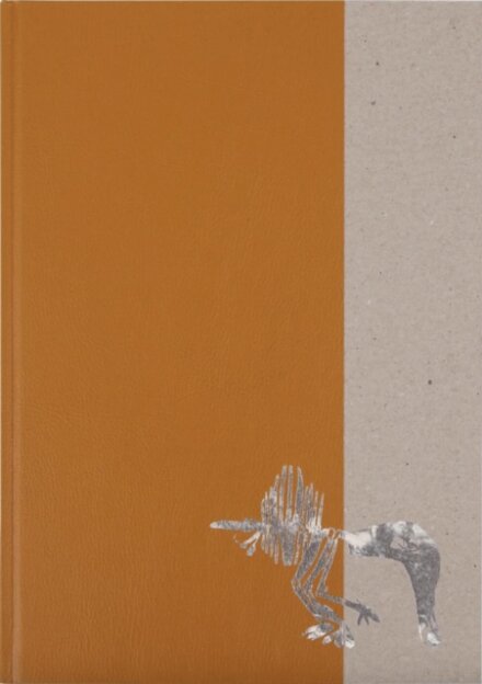 Diplodoclus 2014–2021