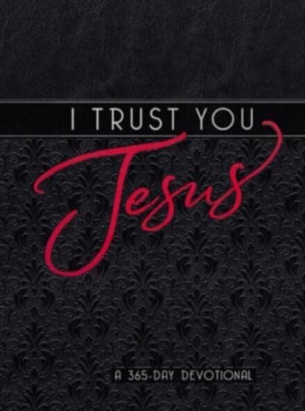 I Trust You Jesus