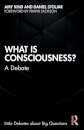 What is Consciousness?