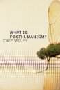 What Is Posthumanism?
