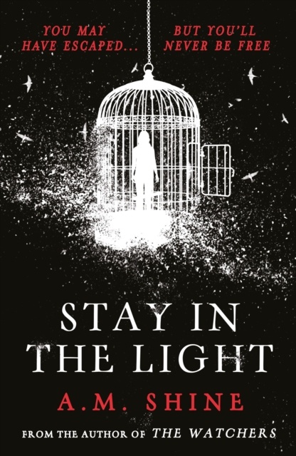 Stay In The Light