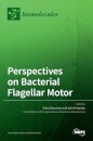 Perspectives on Bacterial Flagellar Motor