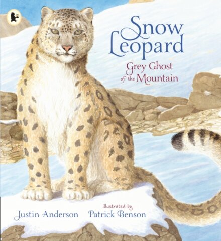 Snow Leopard: Grey Ghost of the Mountain