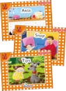 Jolly Phonics Orange Level Readers Set 1 : in Precursive Letters (British English edition)