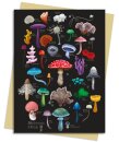 Anna Stead: Mushrooms & Fungi Greeting Card Pack