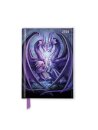 Anne Stokes: Raising Dragons 2026 Luxury Pocket Diary Planner - Week to View