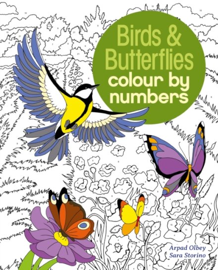 Birds & Butterflies Colour by Numbers