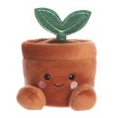 PP TERRA POTTED PLANT 5IN
