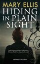 Hiding in Plain Sight