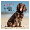 Love is a Spaniel