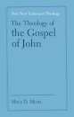 The Theology of the Gospel of John