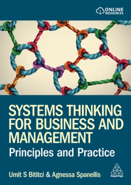 Systems Thinking for Business and Management
