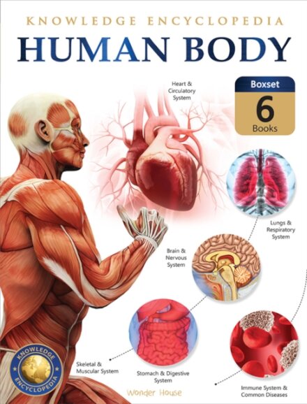 Knowledge Encyclopedia For Children: Human Body