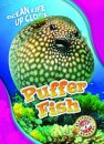 Puffer Fish