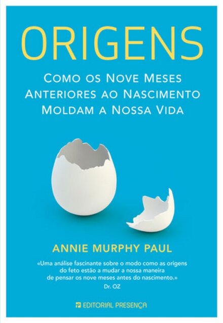 Origens - Como Os Nove Meses Anteriores