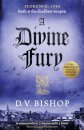 A Divine Fury