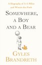 Somewhere, a Boy and a Bear