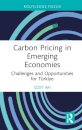 Carbon Pricing in Emerging Economies