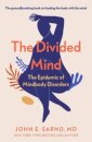 The Divided Mind