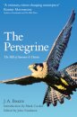 The Peregrine: The Hill Of Summer & Diaries