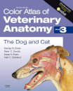 Color Atlas Of Veterinary Anatomy