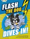 Bug Club Independent Fiction Year 3 Brown B Flash the Dog Dives In!