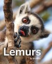 Lemurs