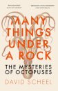 Many Things Under a Rock