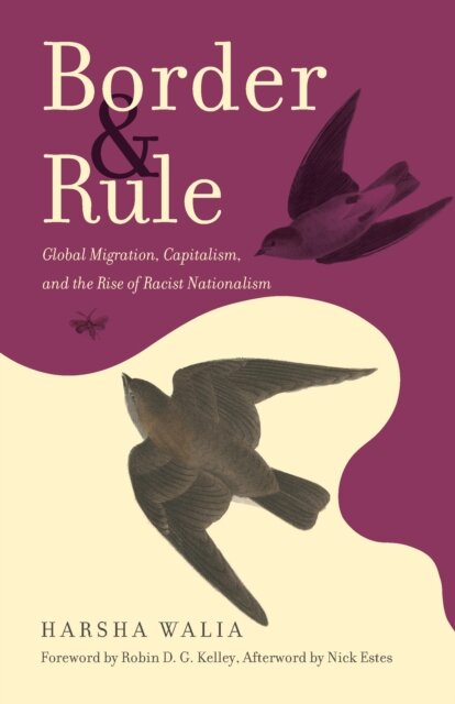 Border and Rule : Global Migration, Capitalism, and the Rise of Racist Nationalism