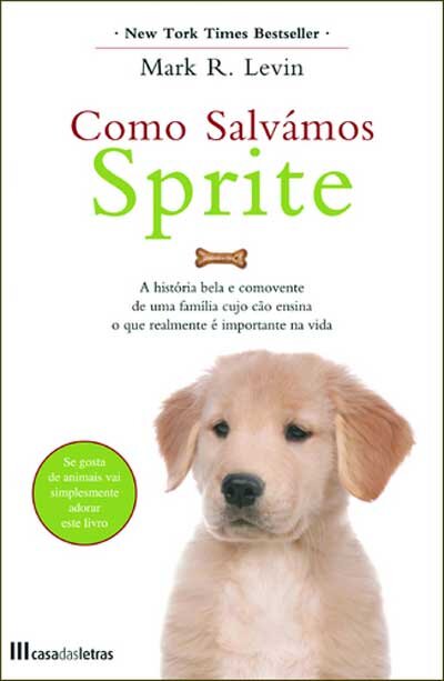 Como Salvamos Sprite