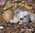 What’s in the Egg?