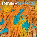 Microscopic World of Innerspace 2026 Square Flap Calendar