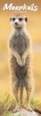 Meerkats Slim Calendar 2025
