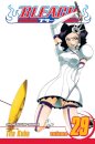Bleach 29