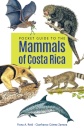 Pocket Guide to the Mammals of Costa Rica