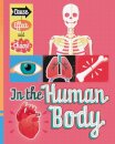 Cause, Effect and Chaos!: In the Human Body