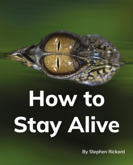 How to Stay Alive