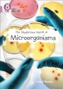 The Mysterious World of Microorganisms