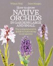 How to Grow Native Orchids in Gardens Large and Small
