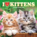 I Love Kittens Square Wall Sunday Start