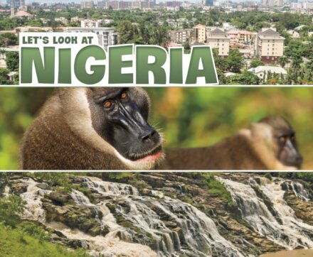 Let's Look at Nigeria