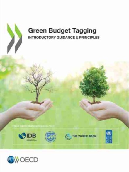 Green budget tagging