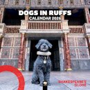 Shakespeare's Globe: Dogs in Ruffs Wall Calendar 2026 (Art Calendar)