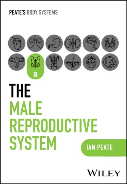 The Male Reproductive System