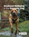Emotional Wellbeing in the Domestic Dog