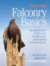 Falconry Basics