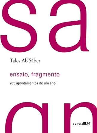 Ensaio, Fragmento: 205 Apontamentos De Um Ano
